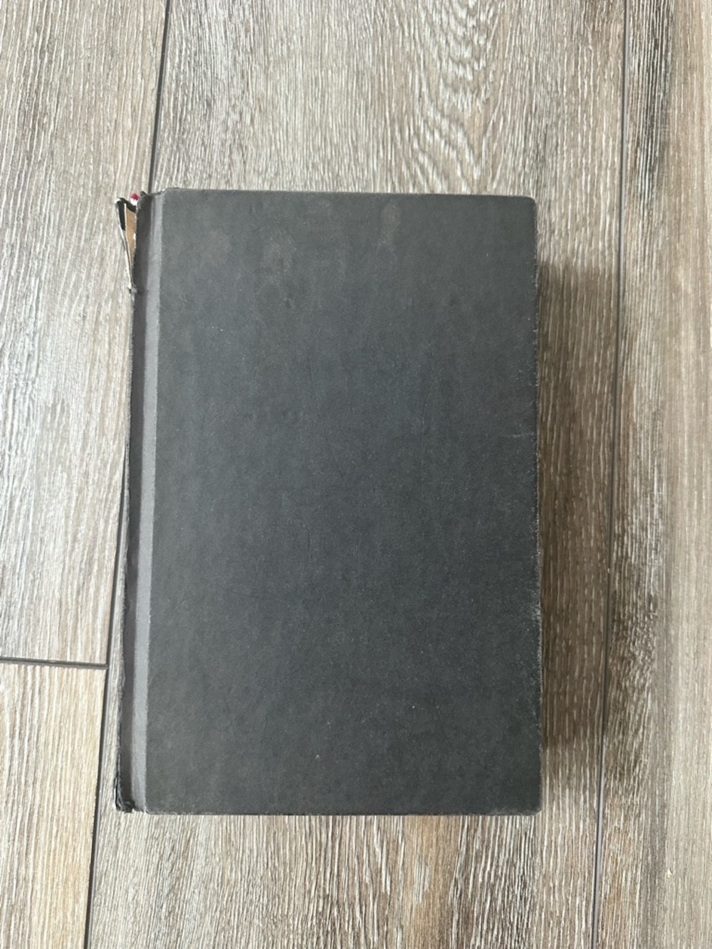 Queen of Shadows by Sarah J. Maas - Hard Cover - Picture 4 of 10